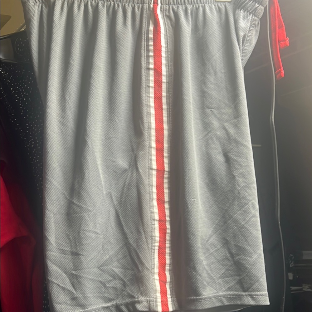 Gray Men's Shorts with Red Stripe